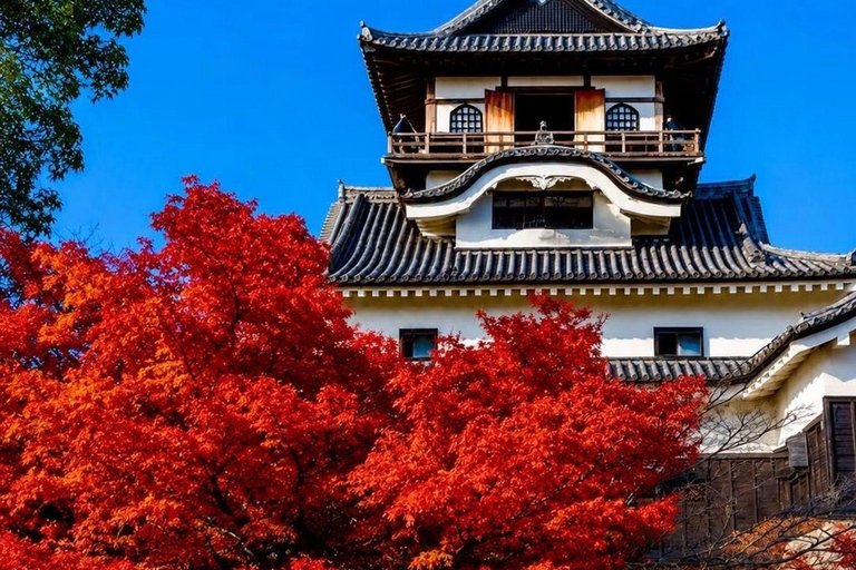 Kyoto & Osaka: Private Customizable Day Trip with Guide