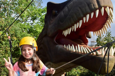 Foz do Iguaçu Tree climbing and zip-lining at Dino Adventure