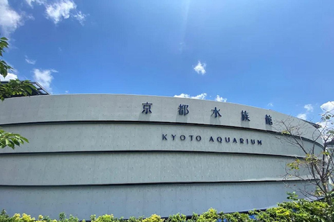 Kyoto: Guided Tour of Great Festivals and Cultural Events 8-Hour Romantic Couple’s Tour in Kyoto