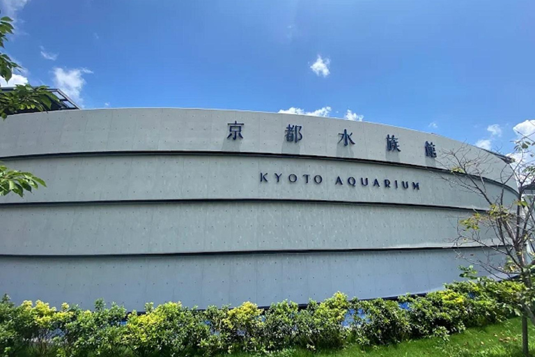 Kyoto: Guided Tour of Great Festivals and Cultural Events 8-Hour Romantic Couple’s Tour in Kyoto