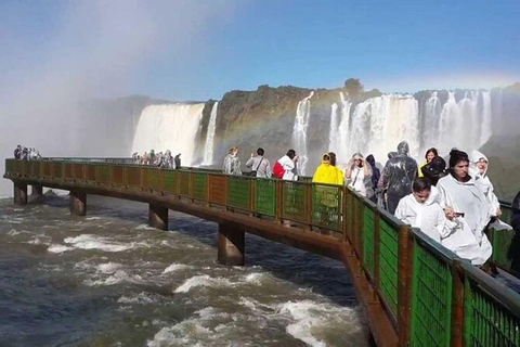 Puerto Iguazú: Wycieczka do brazylijskich wodospadów Iguazú z parkiem ptaków