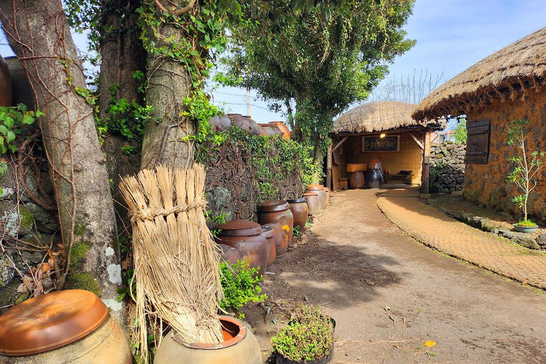 Jeju East Coast Photo Friendly Private Tour for Cruise Guest Jeju International Port