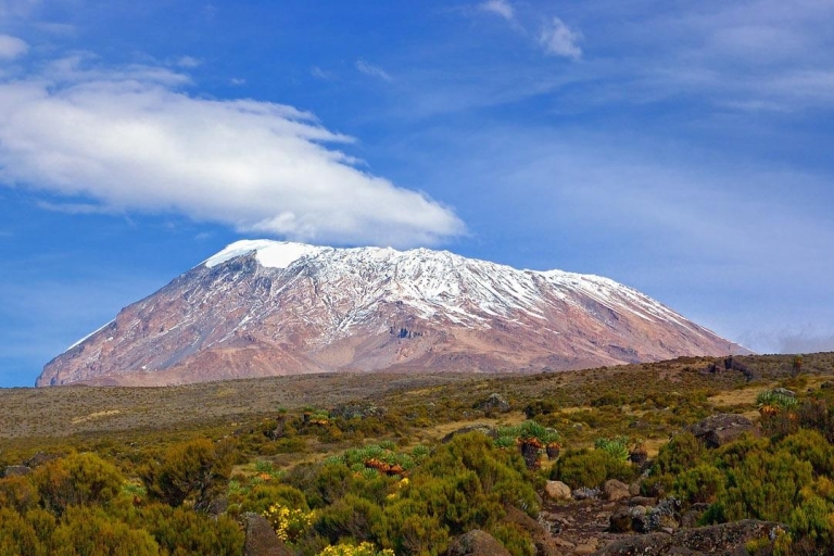 Kilimanjaro bergbeklimmen Dagtrip