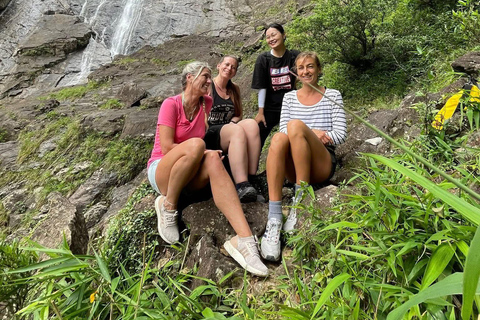 From Hue: Bach Ma National Park Hiking Day Trip with Pickup From Hoi An