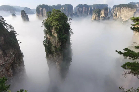 National Forest Park, Tianmen Mountain & Glass Bridge Ticket National Forest Park Ticket + 3 Cableways & 1 Elevator