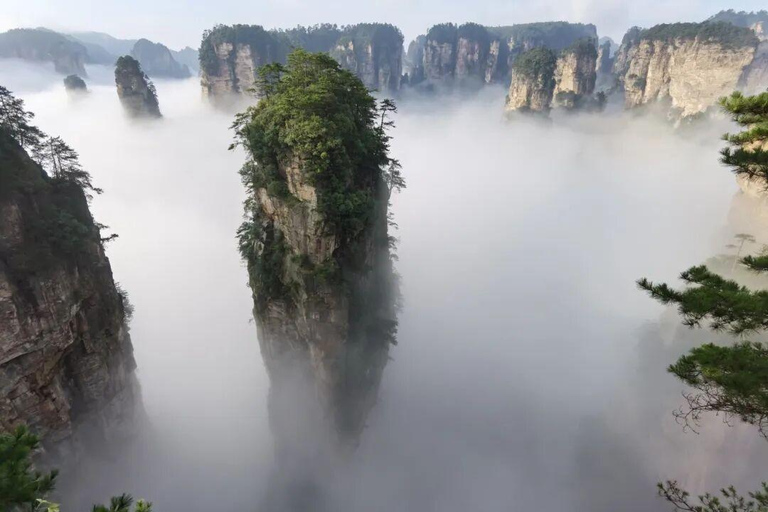 National Forest Park, Tianmen Mountain & Glass Bridge Ticket National Forest Park Ticket + 3 Cableways & 1 Elevator