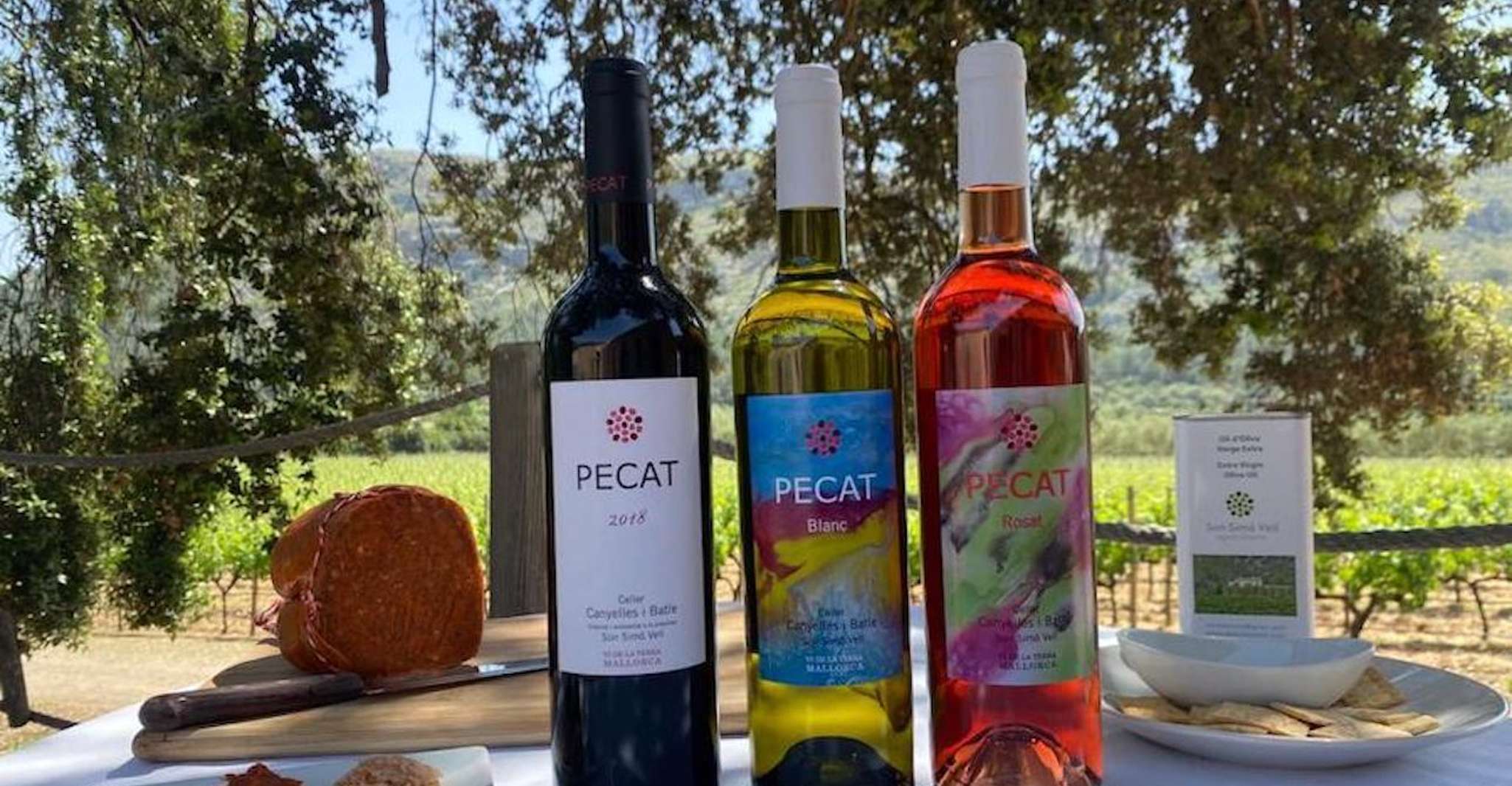 Alcudia, Visite Vignoble & Expérience de dégustation de vins Exclusive - Hizvo
