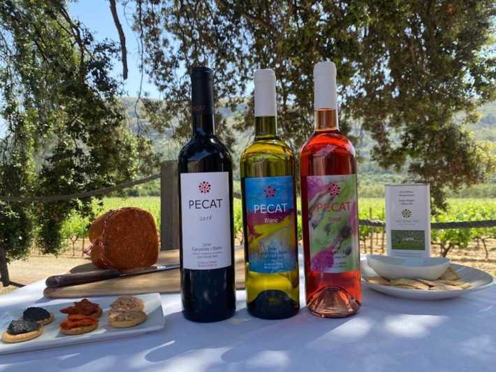 Alcudia : Visite d'un vignoble et dégustation exclusive de vins