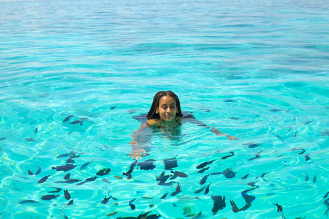 WYCIECZKA MNEMBA DOLPHIN TOUR, AKWARIUM LAGUNA I PLAŻA KENDWA