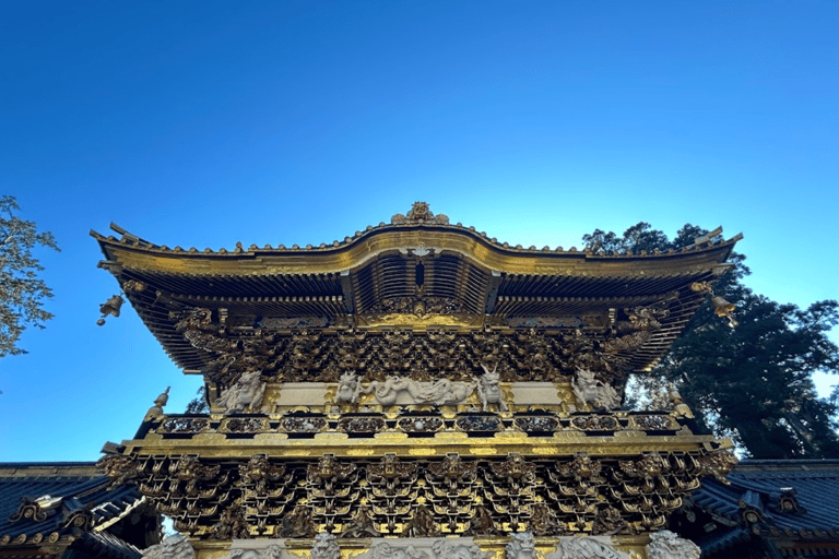 From Tokyo: Nikko Private Customized Day Tour English Guide From Tokyo: Nikko Private Customized Tour With English Guide