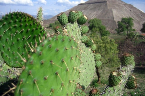 Wycieczka po Teotihuacan w Meksyku: Ruiny i historyczne centrum