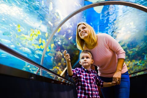 Rio de Janeiro: Entrance Ticket to AquaRio, the Largest Aquarium in South America