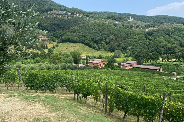 Tour de vinhos da Toscana de ônibus saindo de Lucca