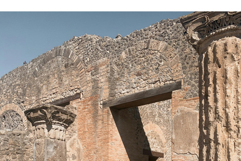 Naples: Pompeii & Herculaneum Shared Regular Group Tour