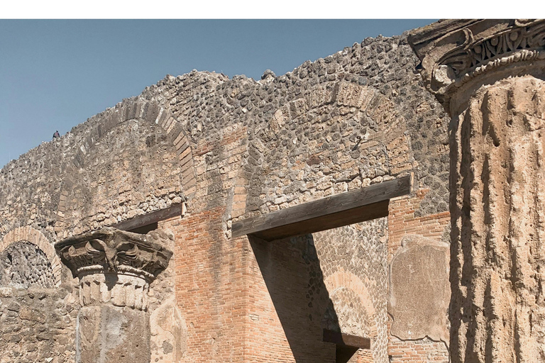 Naples: Pompeii & Herculaneum Shared Regular Group Tour