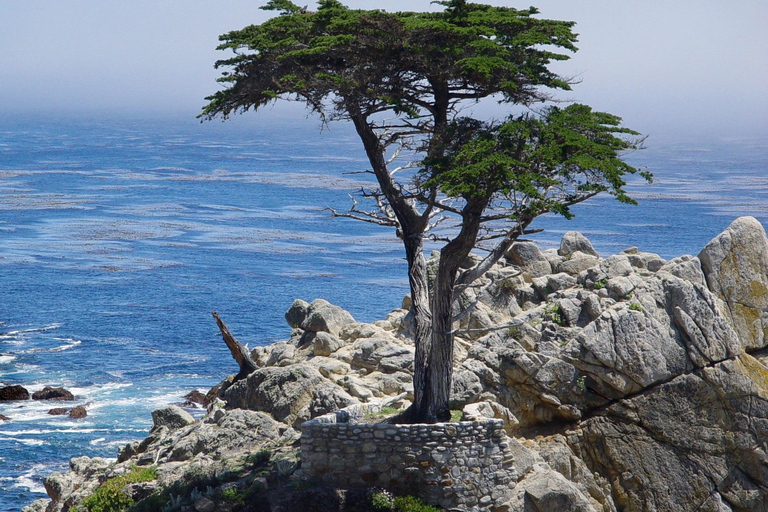 San Francisco: Monterey and Carmel Day Trip w/ 17-Mile Drive From San Francisco: Monterey and Carmel Day Tour