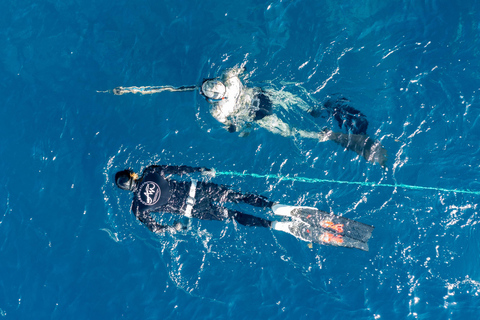 Underwater fishing in Martinique Martinique Underwater Hunting