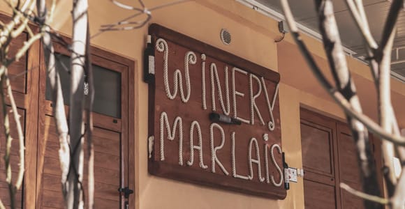 Ston: Tour durch das Familien-Weingut Marlais und Weinprobe