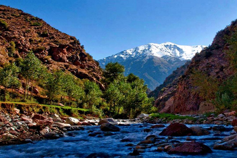 From Marrakech: Ourika Valley Atlas Mountains Day Trip with Lunch Option 3: Shared Group Transport and Local Guide