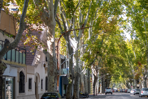 Mendoza: Walking & Wine Tour with Tastings & San Martin Park