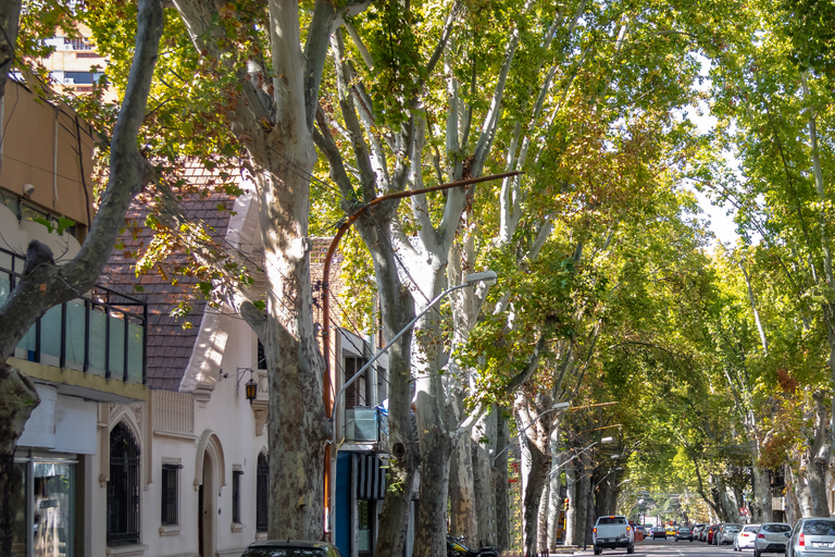 Mendoza: Walking & Wine Tour with Tastings & San Martin Park