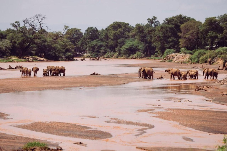 3 Days, 2 nights safari to Samburu National Reserve 3 Days private safari in a 4x4 Landcruiser jeep