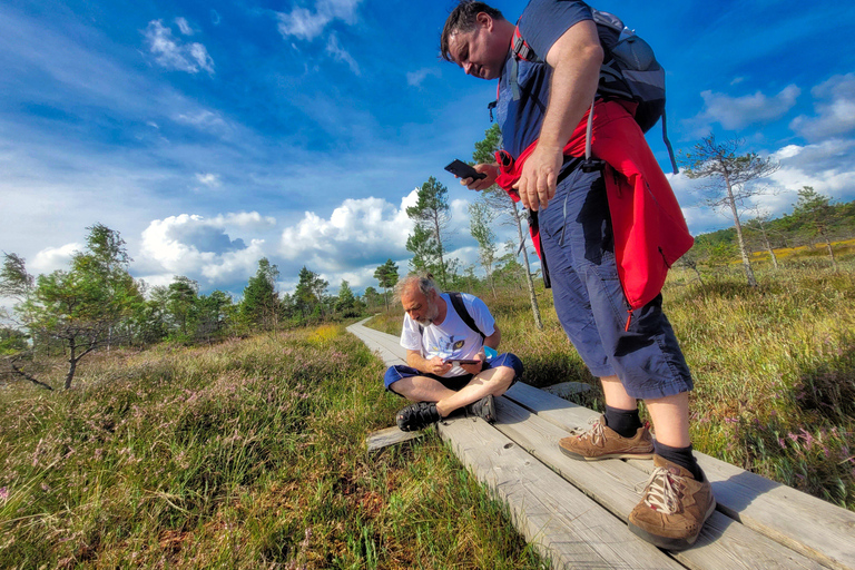 Ķemeri Great Bog With Optional Sunrise & Jūrmala Visit Ķemeri Bog Shared Small Group Tour