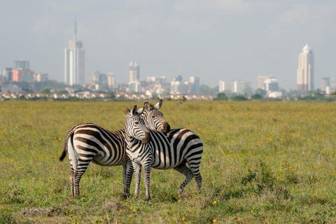 Nairobi: National Park game drive with pickup and dropoffNairobi national park game drive