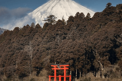 From Tokyo: Mount Fuji Full Day Customizable Private Tour