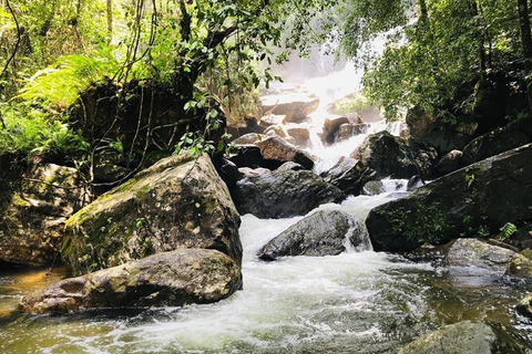 Desde Galle/Weligama/Mirissa/Matara: excursión de un día a Sinharaja