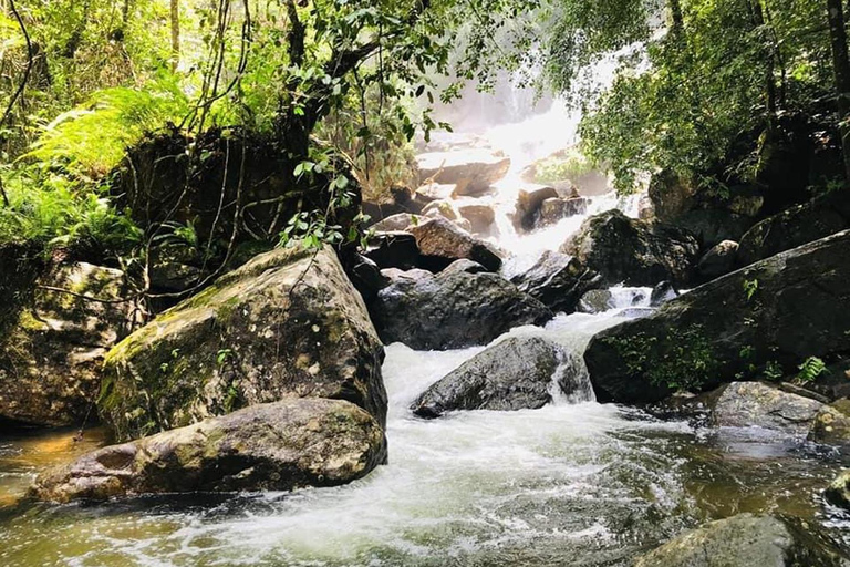 Desde Galle/Weligama/Mirissa/Matara: excursión de un día a Sinharaja
