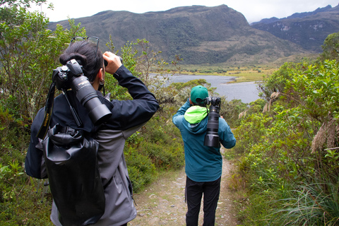 Private sight Tour Chingaza Paramo from Bogota, Andean BearPrivate sighting Tour in Chingaza Paramo, Andean Bear