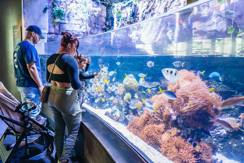 Acuario del Pacífico, LA: ticket sin colas en la taquilla