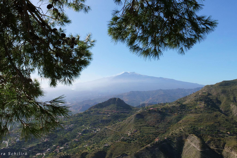 Desde Catania: Tour guiado de Taormina y CastelmolaDesde Catania: Visita guiada de Taormina y Castelmola