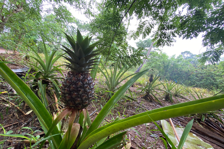 Sansibar : Gewürzfarm &amp; Rundgang in Stone Town