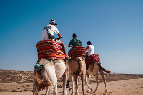 Agadir: Sunset Camel Ride, Berber Dinner & Gnaoua Music