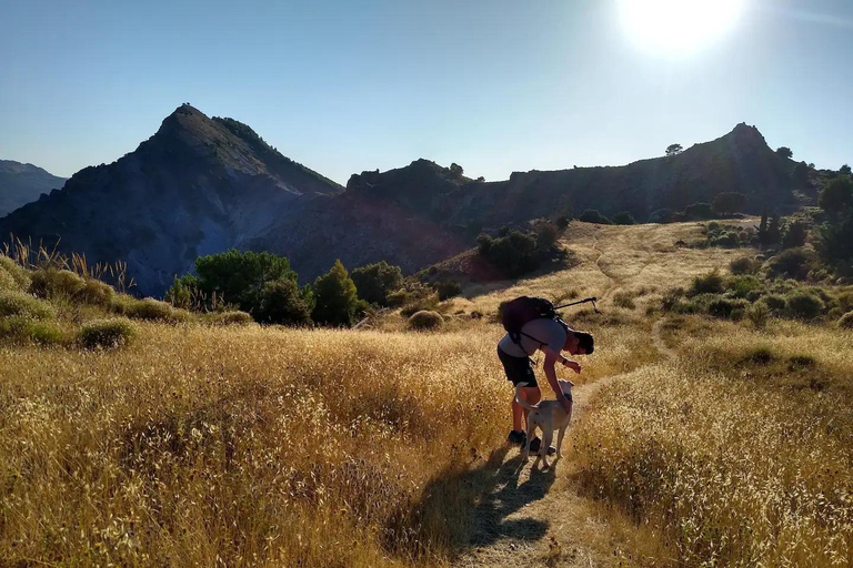 ⭐ Excursión al atardecer y cumbre de Sierra Nevada con cachorro ⭐⭐ Excursión al atardecer y cumbre de Sierra Nevada Excursión privada con cachorro ⭐