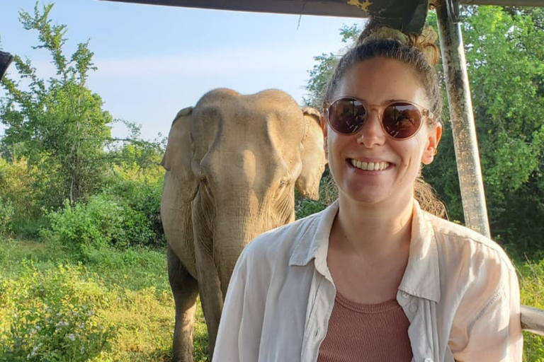 Bentota/Mirissa/Hiriketiya/Tangalle: Ella Scenic Day Tour Udawalawe Elephant Transit Home & Ella Day Tour