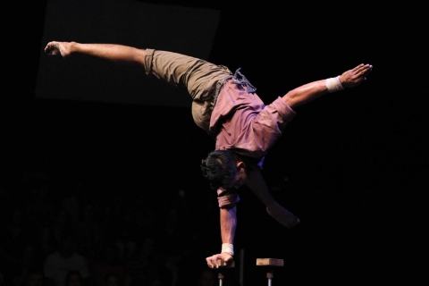 Phare: The Cambodian Circus Show with Pick up & Drop off Section: C