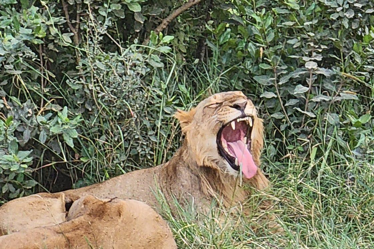 samburu and olpejeta national parks 4 days from nairobi.