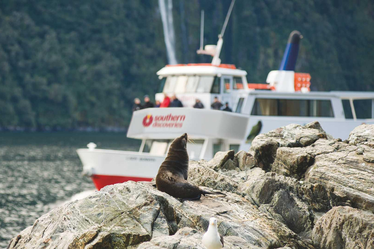 Milford Sound: Entdecke mehr auf unserer längsten FahrtMilford Sound: Discover More on our Longest Cruise