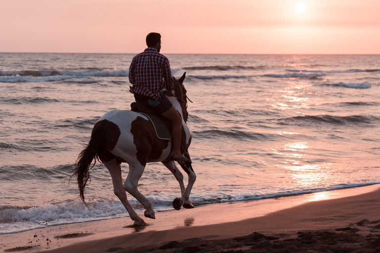 Paphos: 1.5-Hr Sea Caves Horseback for Experienced Riders