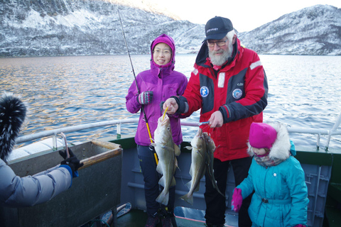 Safari marítimo em Tromsø