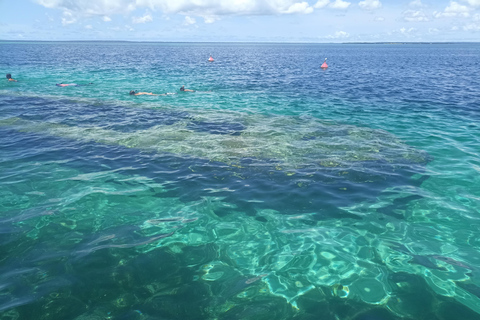 Sainte-Rose: Le Grand Cul-de-Sac Marin + Snorkeling + Meal by the Water Sainte-Rose: the large marine cul-de-sac + snorkeling + waterfront meal