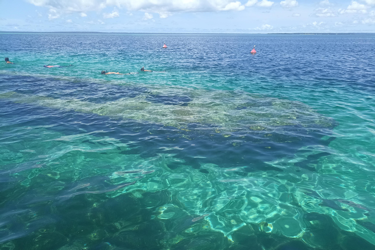 Sainte-Rose: Le Grand Cul-de-Sac Marin + Snorkeling + Meal by the Water Sainte-Rose: the large marine cul-de-sac + snorkeling + waterfront meal