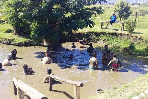 Nadi: Private Tour with Temple, Markets, and Hot Springs
