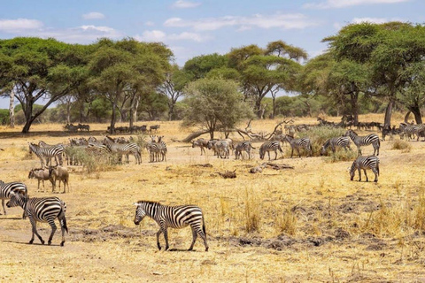 Excursão de um dia ao Parque Nacional Amboseli