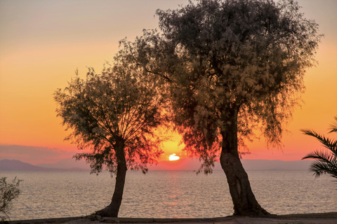 Athens Riviera: Poseidon Temple & Lake Vouliagmeni Day Tour