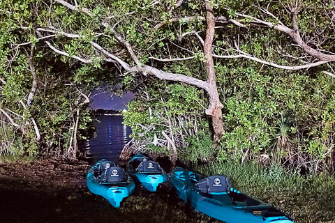 Cocoa Beach/Merritt Island:Bioluminescent kayak tour Single Kayak