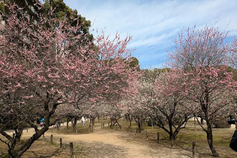 Tour Hiroshima: Explore Its Spiritual & Cultural Treasures
